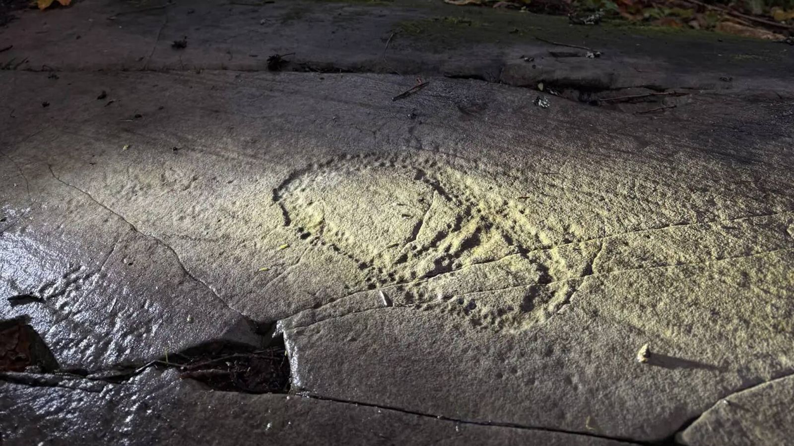 Pai e filha descobrem arte rupestre de 3.000 anos em montanha norueguesa