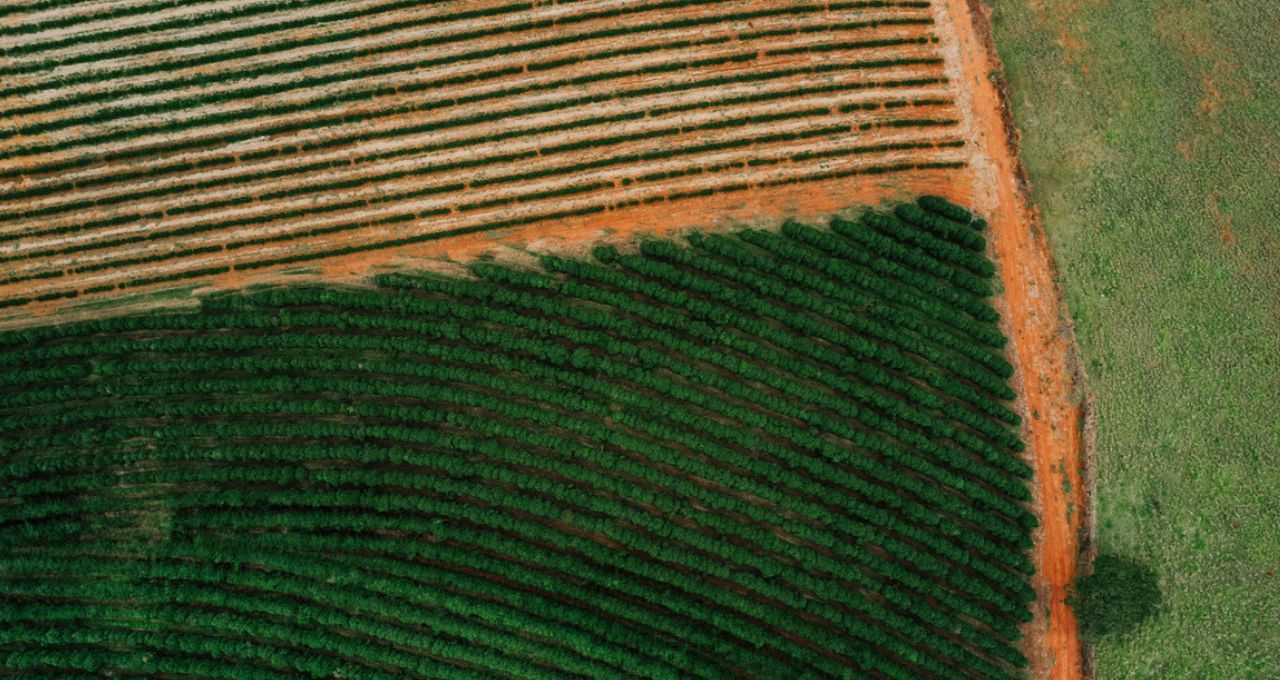 Governo prepara Plano Safra com foco em juros menores e seguro rural