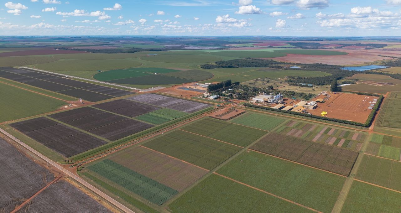 SLC Agrícola paga R$ 669 milhões por 11 mil hectares no MT