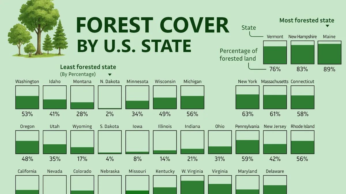 Maine lidera ranking de cobertura florestal nos EUA com 89% do território