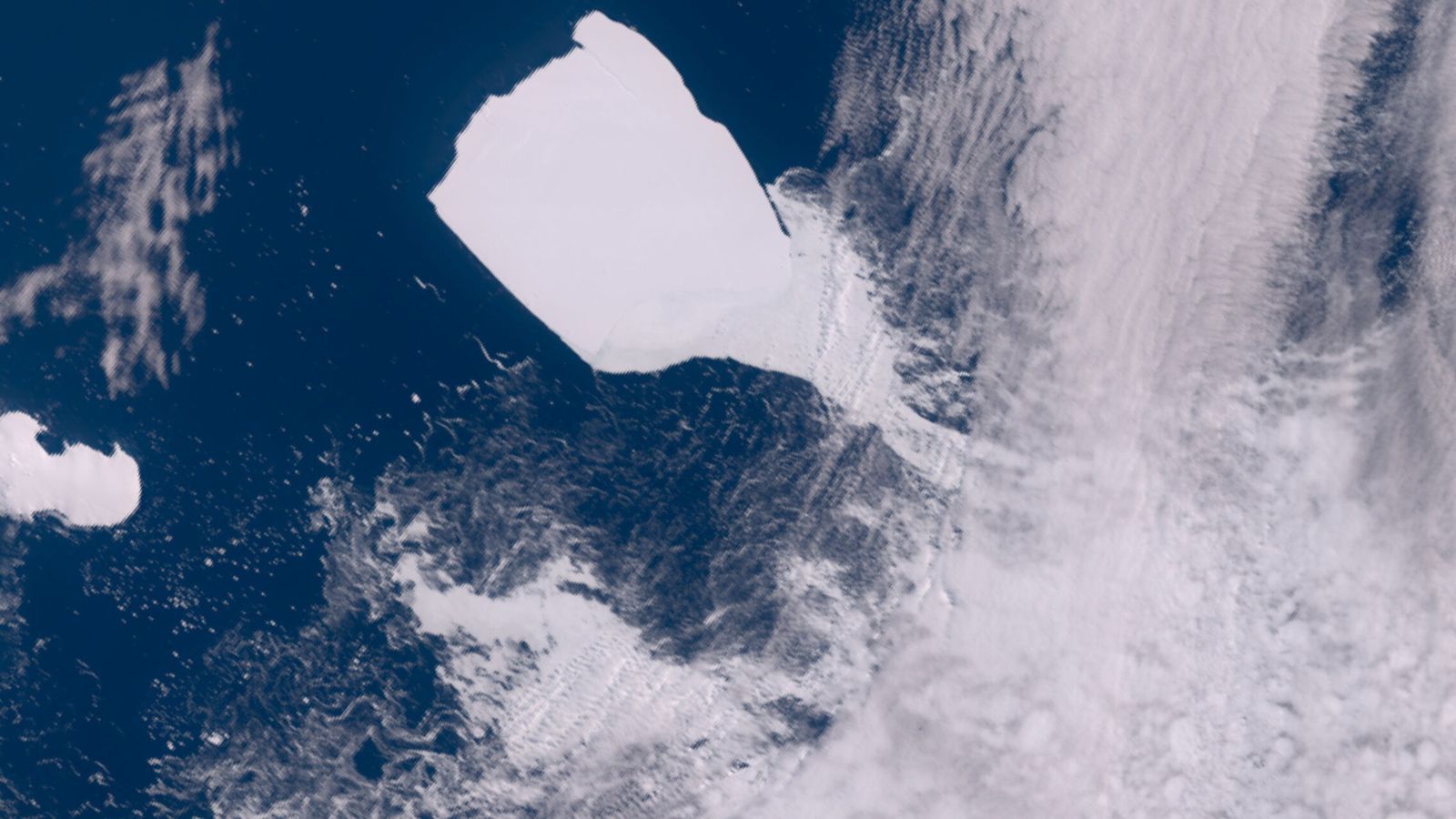 Iceberg bloqueia rota de pinguins na Antártida e mata 15 mil filhotes