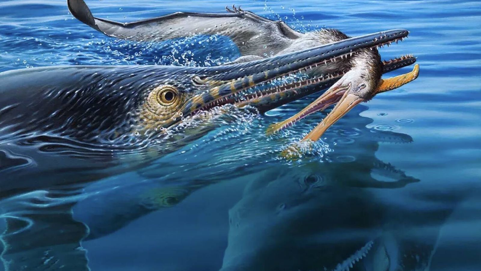 Fóssil revela cadeia alimentar brutal: ictiossauro come pterossauro e é devorado por pliosauro