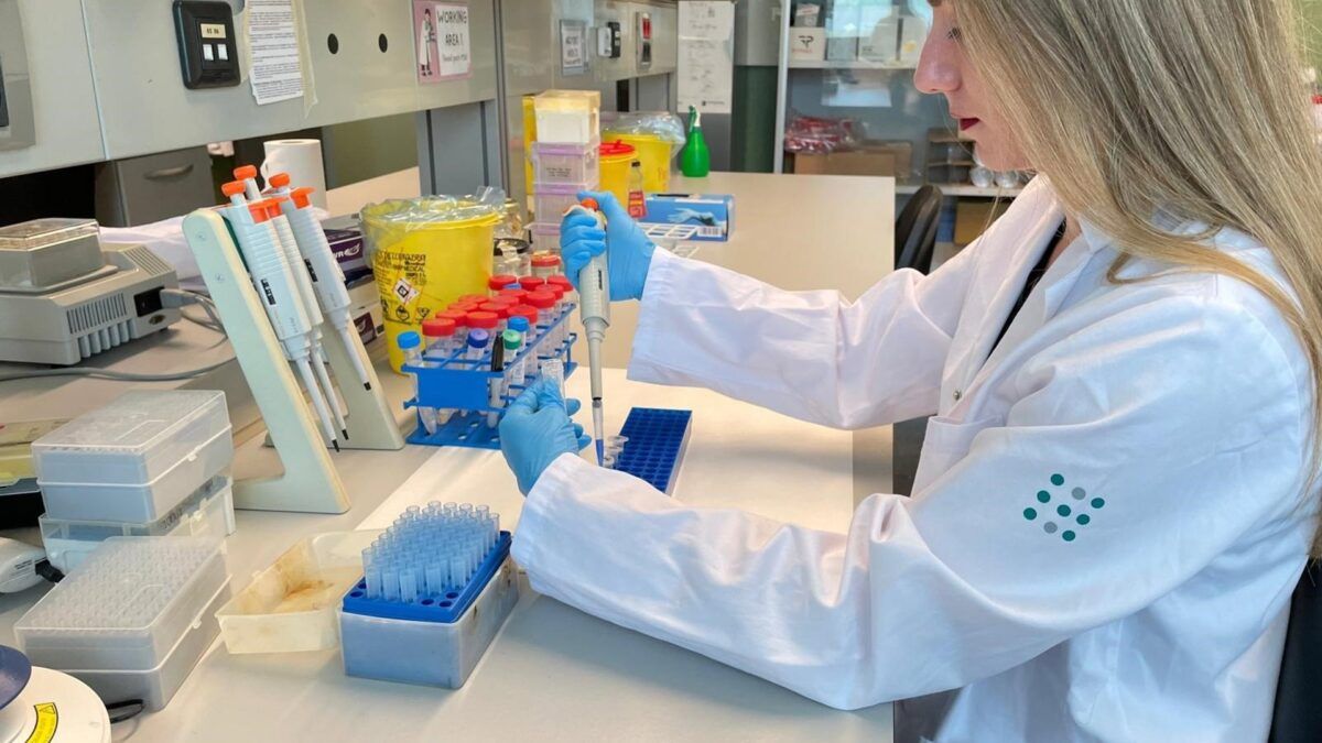 O degrau que falta: o modelo espanhol para formar cientistas