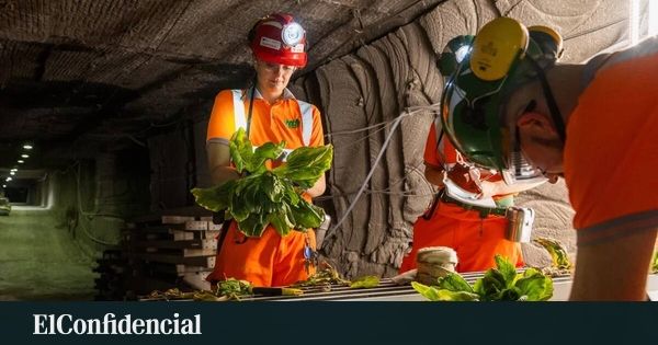 China planta o futuro no subsolo de suas minas