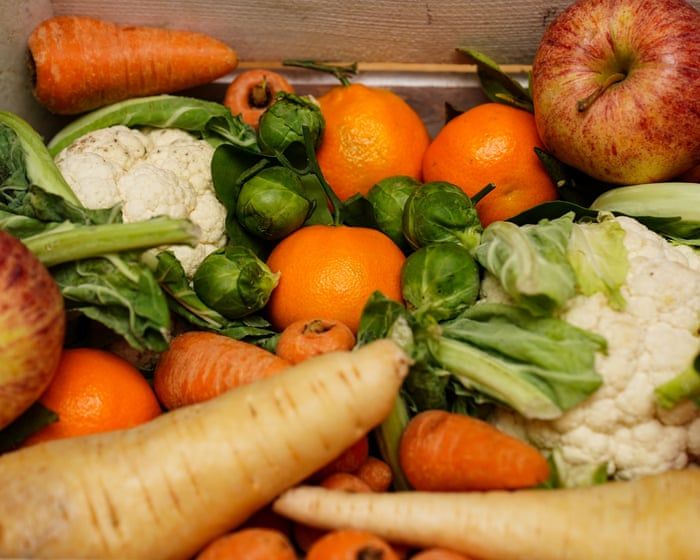 Supermercados descartam toneladas de alimentos para manter prateleiras impecáveis
