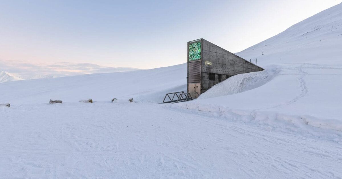Edifícios se tornam arcas modernas para espécies em extinção