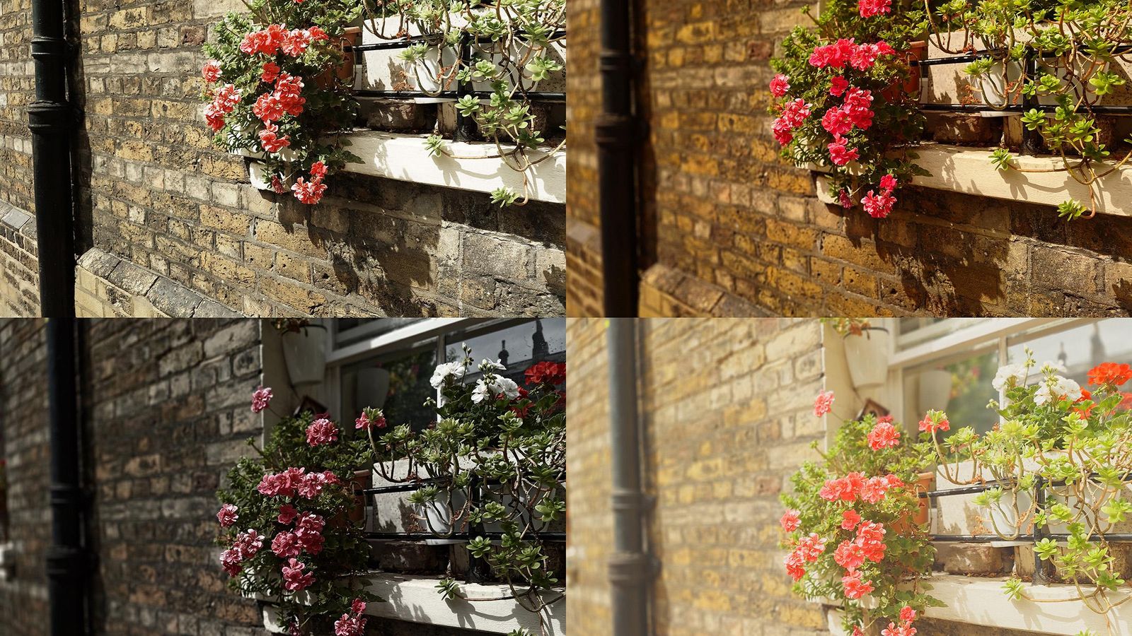 IA da Sony falha em fotografia e levanta dúvidas sobre o futuro do Xperia 1 VIII