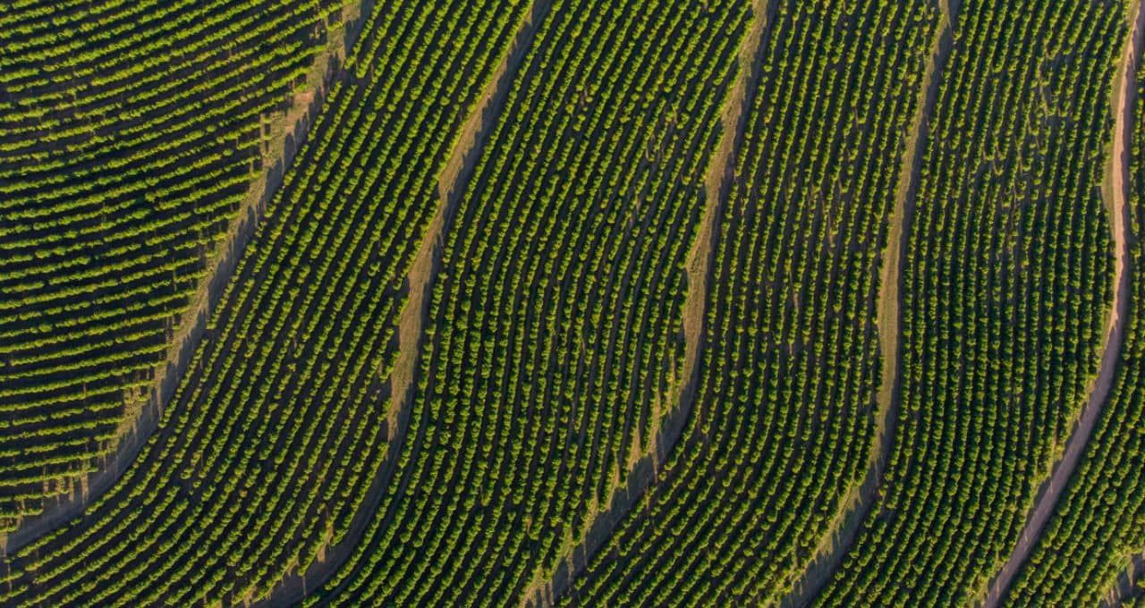 Agroambiental em 2027: Brasil busca resultados em meio a dilemas regulatórios e judiciais