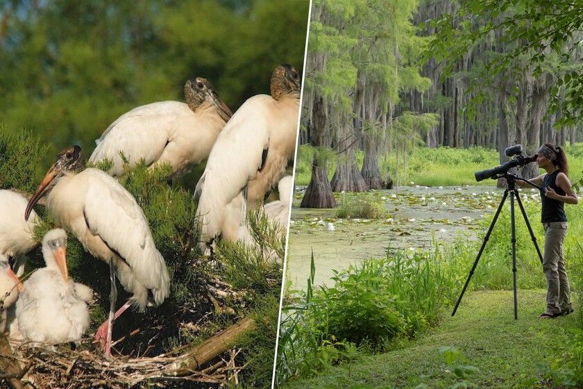 Eles compraram um pântano. A natureza pagou com juros