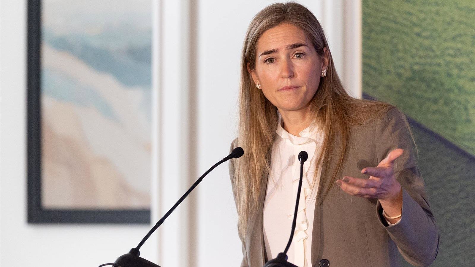 Aagesen: 'Imposto ao sol' é receita fracassada que prejudica investidores
