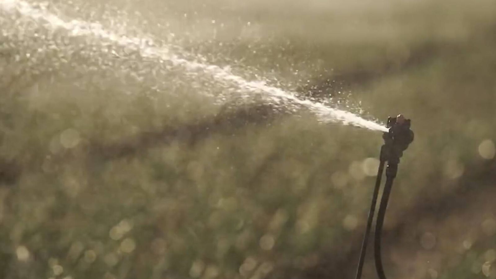 Universidade de Córdoba transforma embalses agrícolas em baterias de energia
