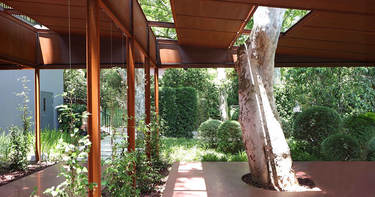 SHISUO Design integra árvores centenárias em novo café no Luxun Park de Xangai