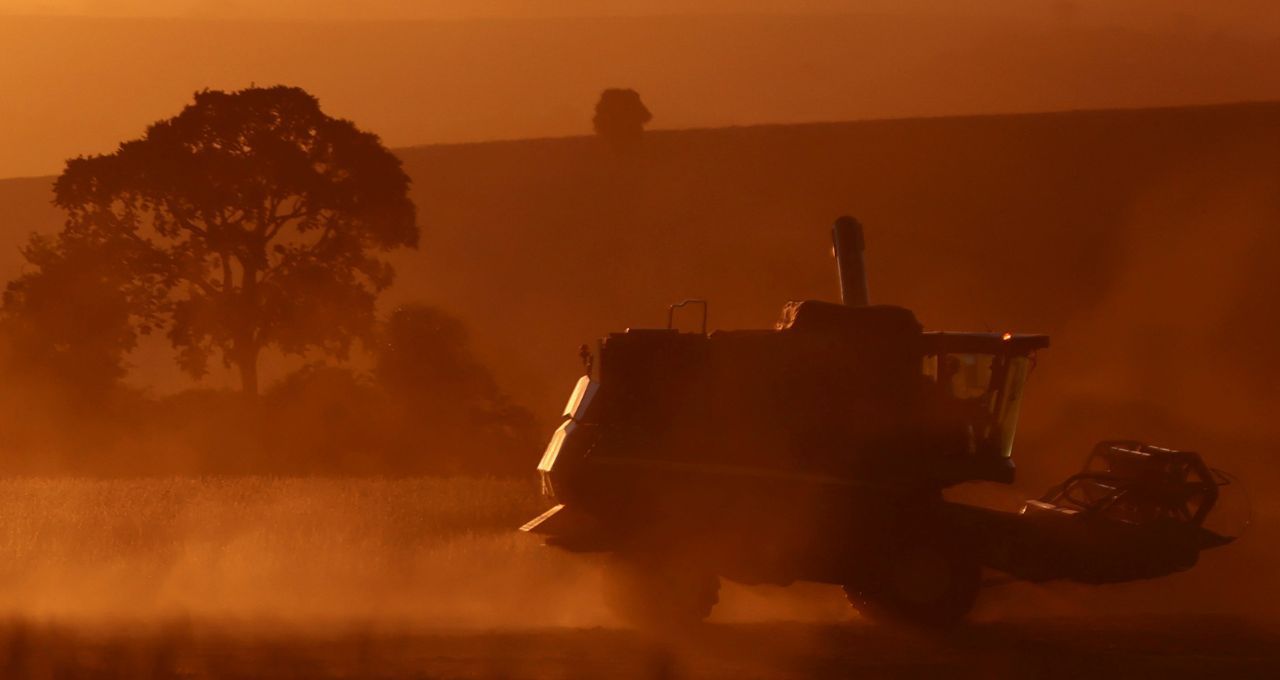 El Niño: a safra da desigualdade