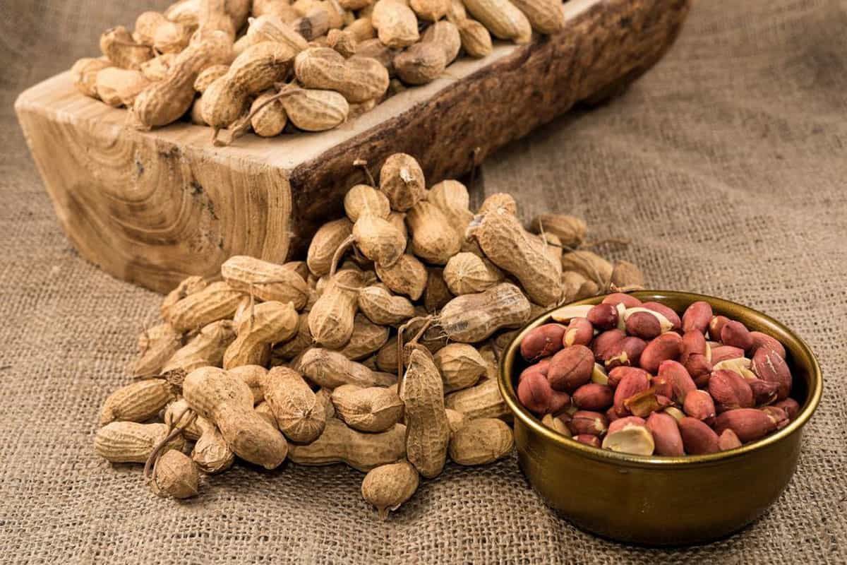 O microbioma entra na batalha contra as alergias alimentares