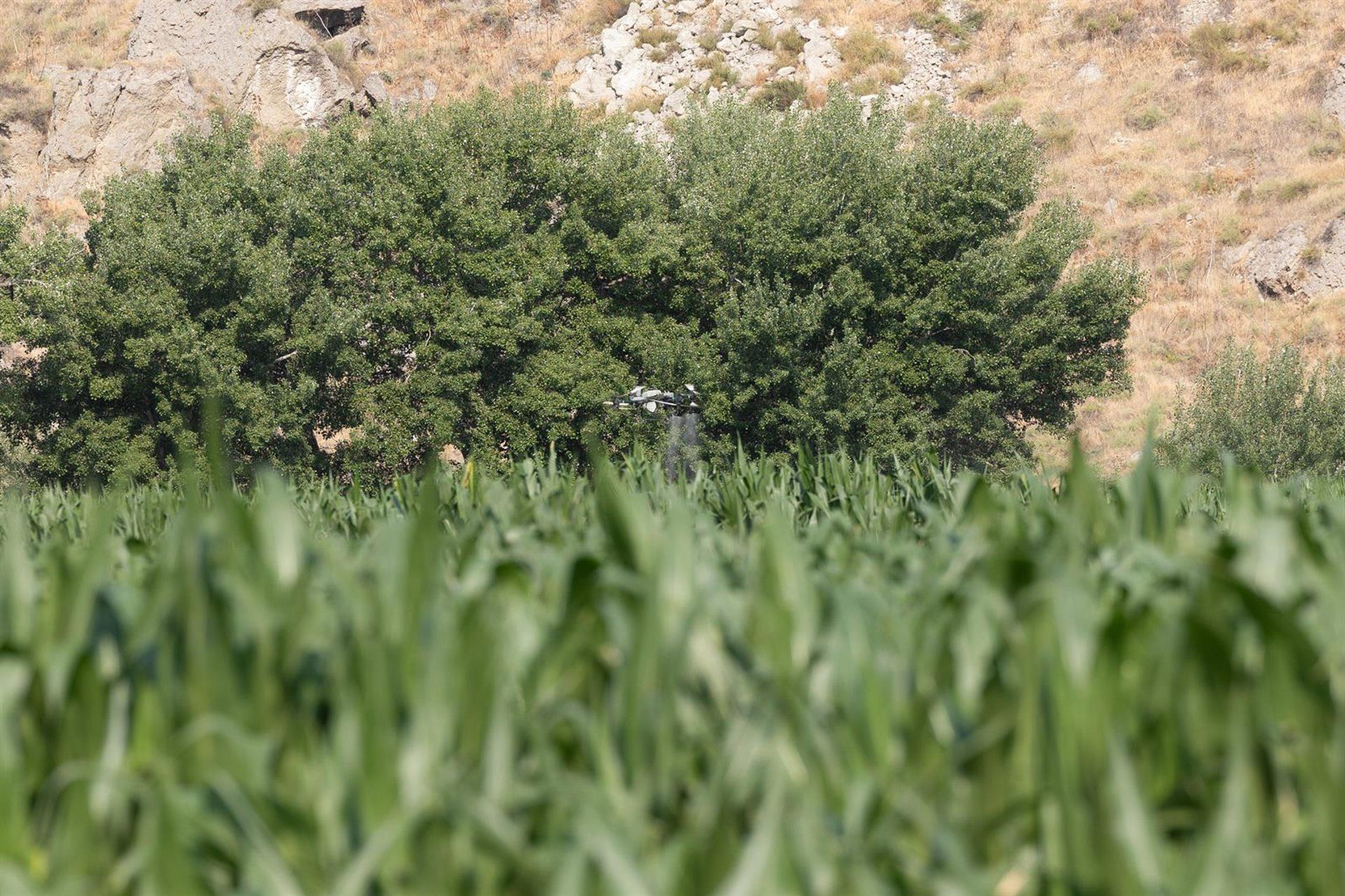 Parlamento Europeu aprova subsídio de 80% para fertilizantes — veja o impacto na produção