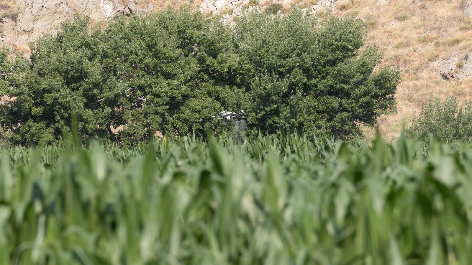 Parlamento Europeu aprova subsídio de 80% para fertilizantes — veja o impacto na produção