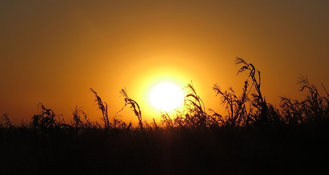 Probabilidade de El Niño atinge 90% e ameaça cadeias produtivas globais