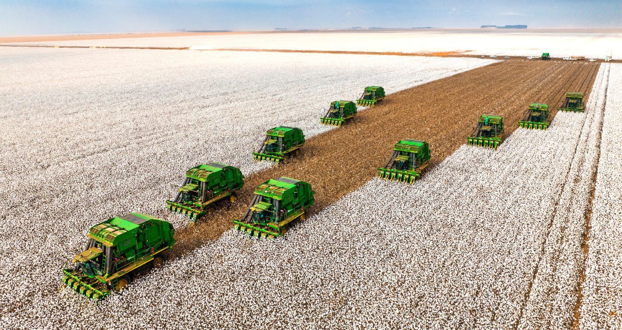 SLC Agrícola avalia compra de 17,6 mil hectares em meio à venda da Radar pela Cosan