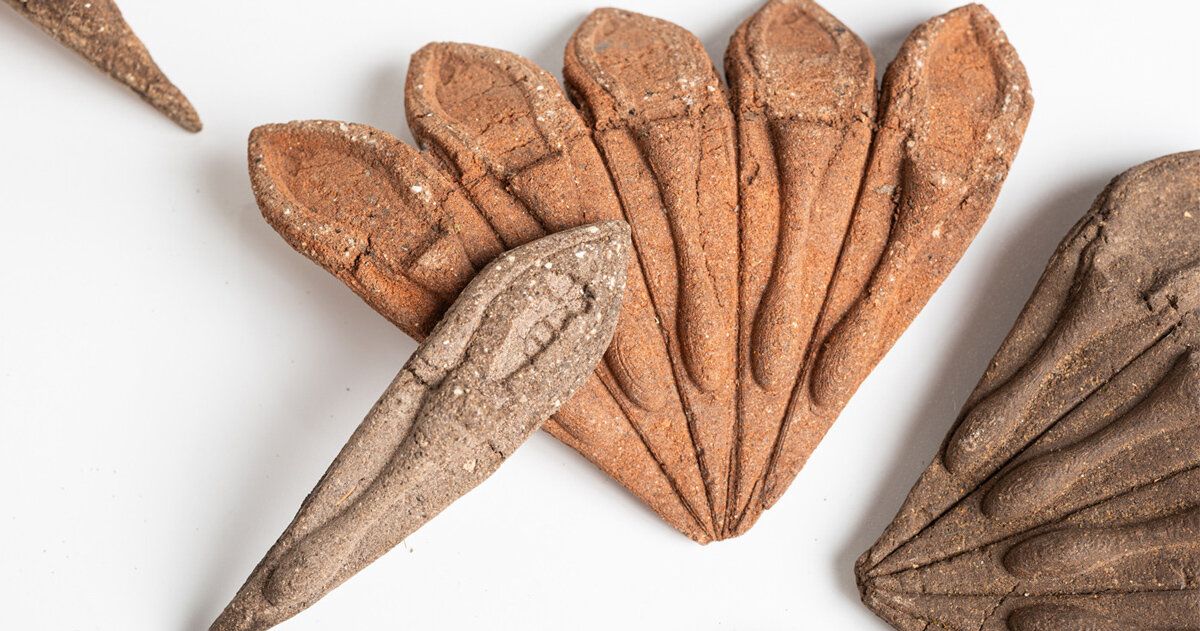 Terra Seeds elimina plástico com kit de jardinagem feito de terra comprimida