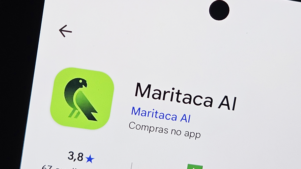 Maritaca AI desafia gigantes globais com modelo focado em raciocínio lógico
