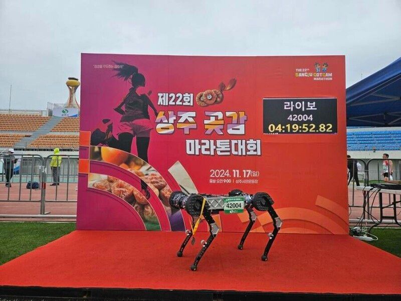 Robô-cão sul-coreano corre maratona com uma carga e publica estudo
