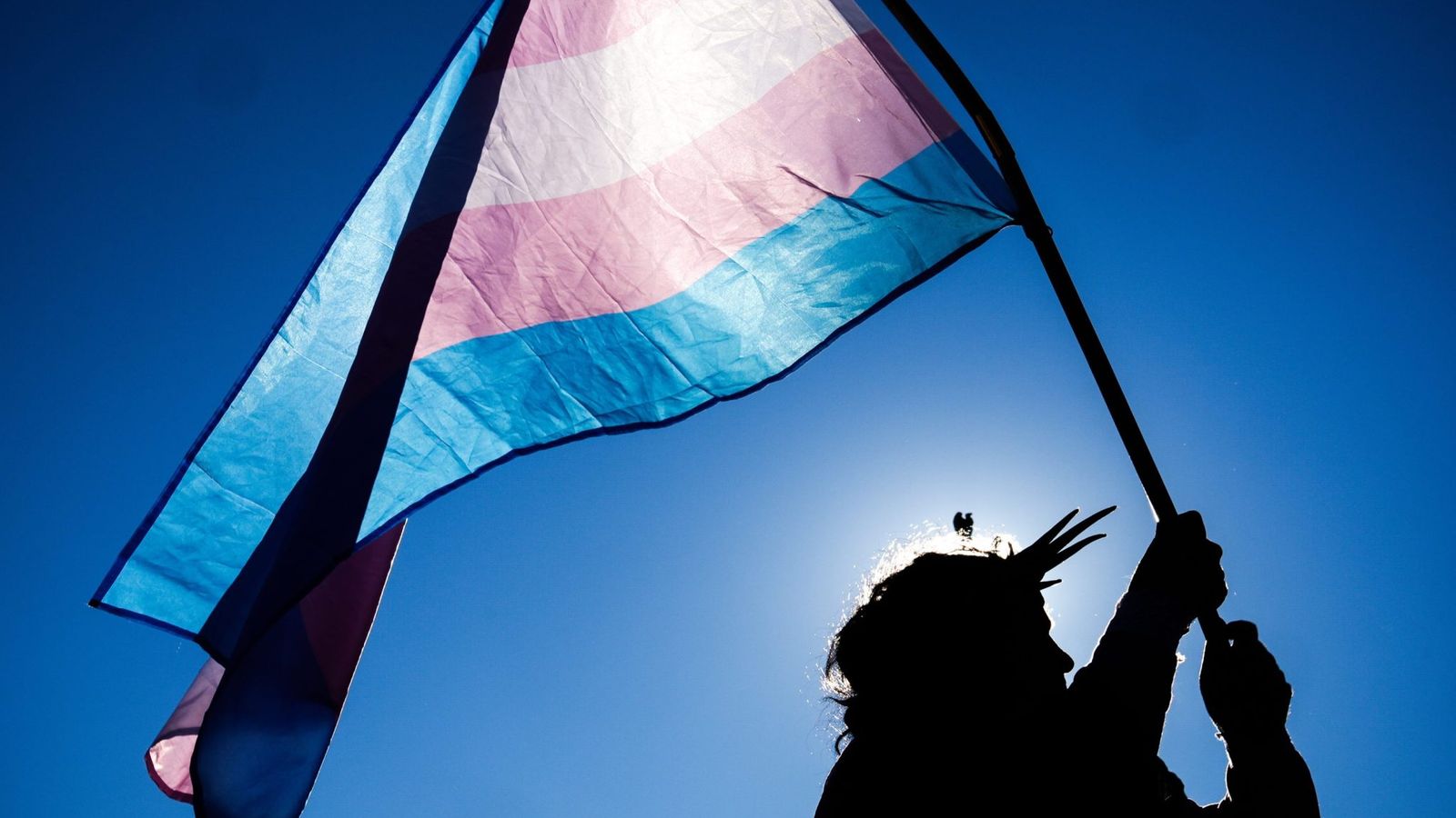 Apoio ao casamento homoafetivo cai nos EUA — Republicanos lideram recuo