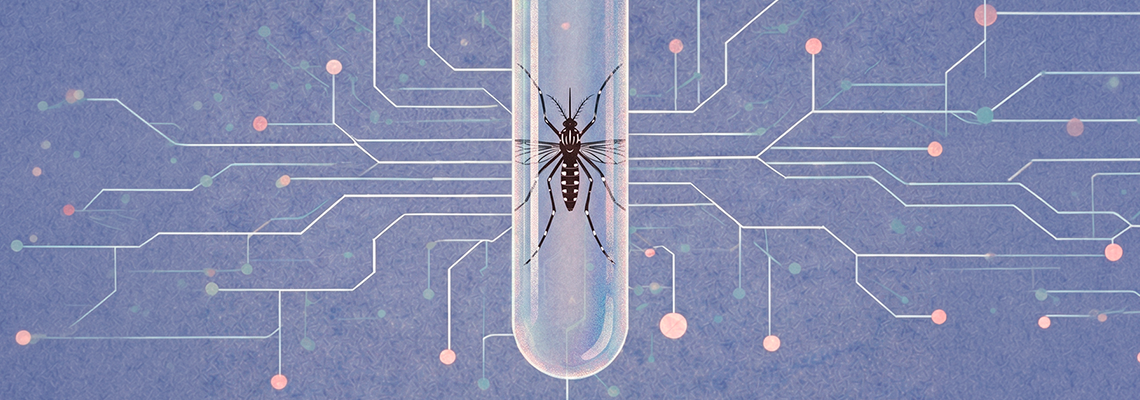 Startup do Tocantins usa fungo e impressão 3D para neutralizar o Aedes aegypti