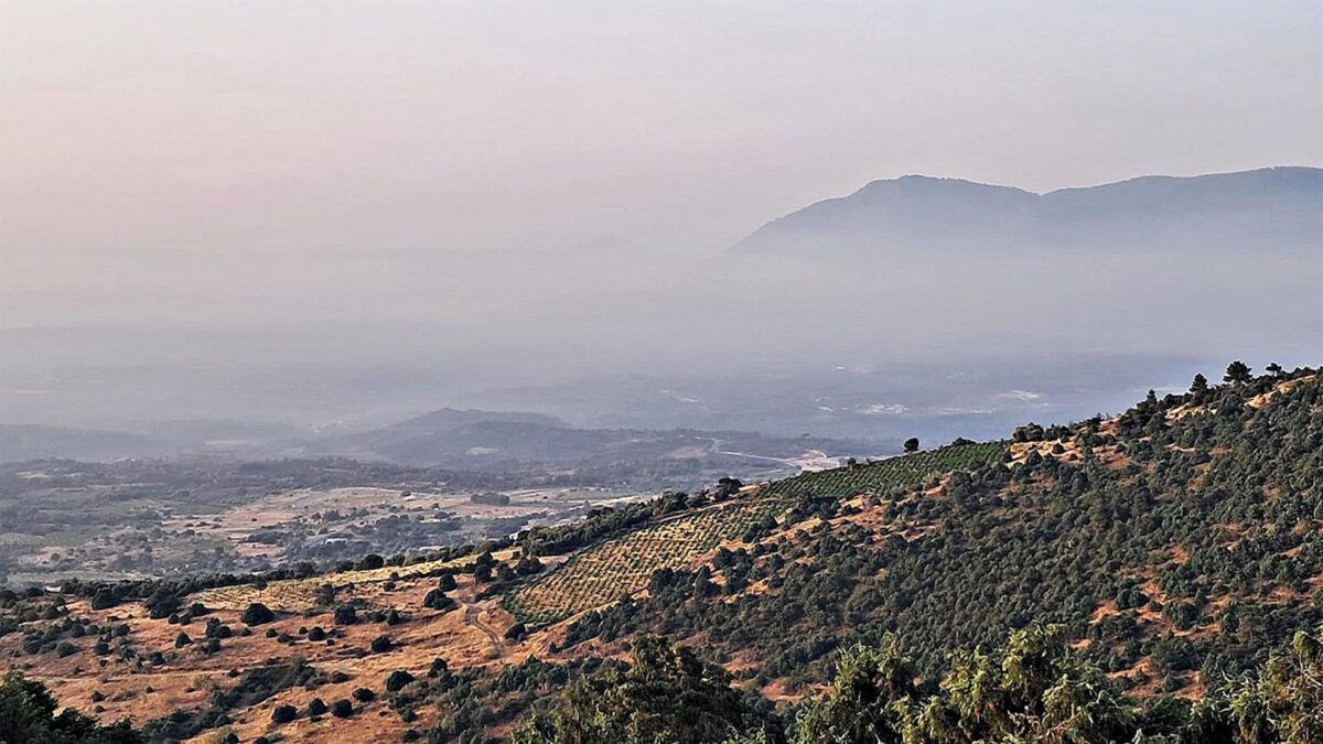 A safra da fumaça: o que os incêndios na Espanha ensinam ao vinho