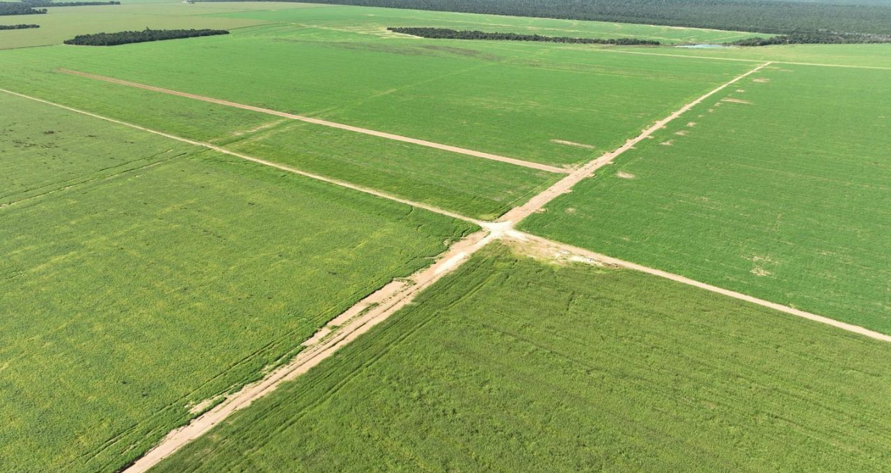 BrasilAgro vende área na Bahia por R$ 96,4 milhões e mira valorização
