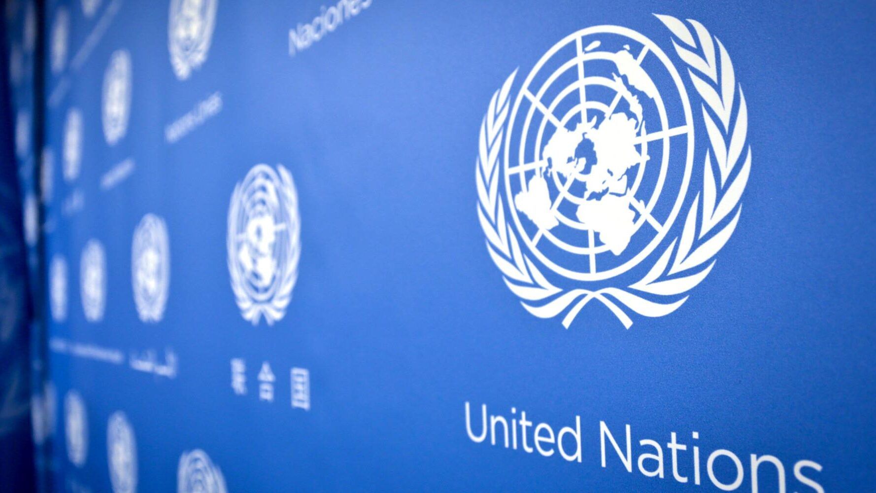 OpenAI investiga varreduras em site da ONU após alerta de pesquisadora
