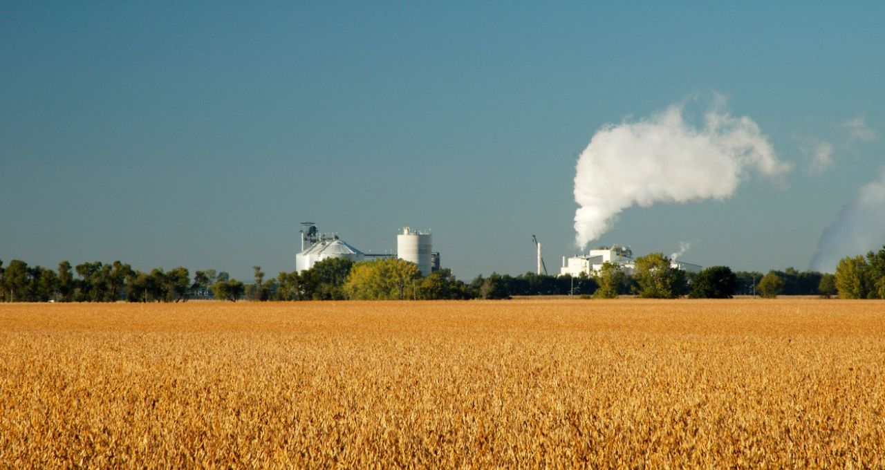 Clima nos EUA dita o ritmo da soja e do milho — petróleo perde o protagonismo