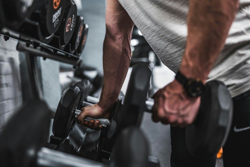 Estudo aponta dose exata de musculação para aumentar expectativa de vida