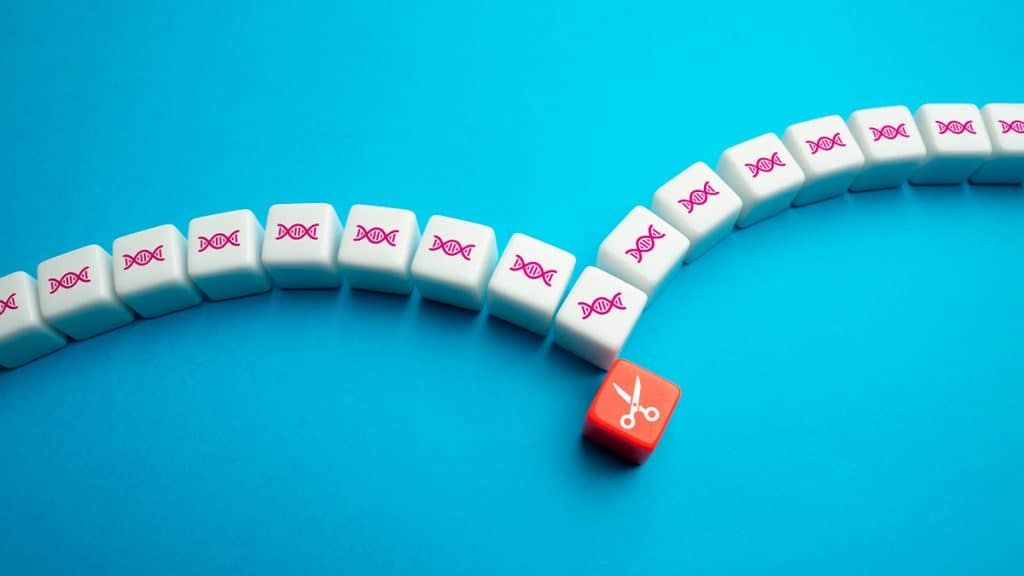 Ancilóstomos geneticamente editados atuam como fábricas de medicamentos em novos testes