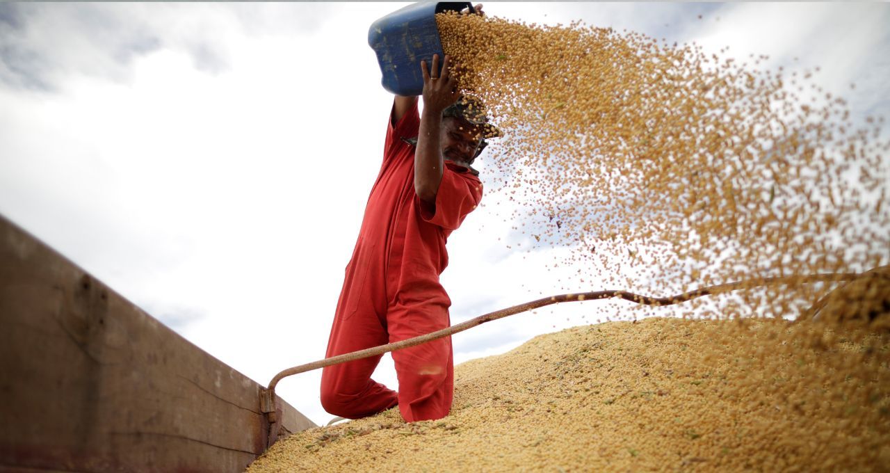 A conta do campo chegou: inadimplência rural atinge recorde