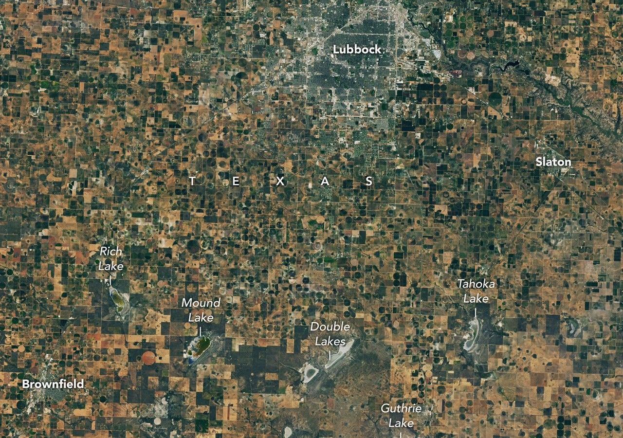 Seca no Texas: NASA e agricultores buscam saídas para crise hídrica no algodão