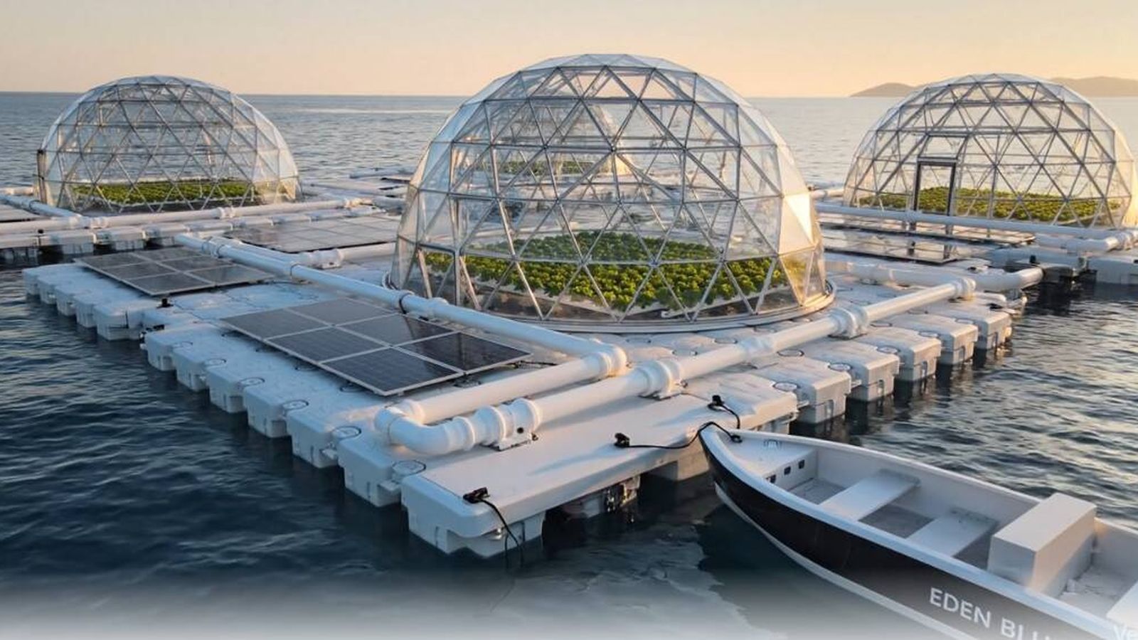 Estudantes espanhóis criam Eden Blue: agricultura em água do mar com sol