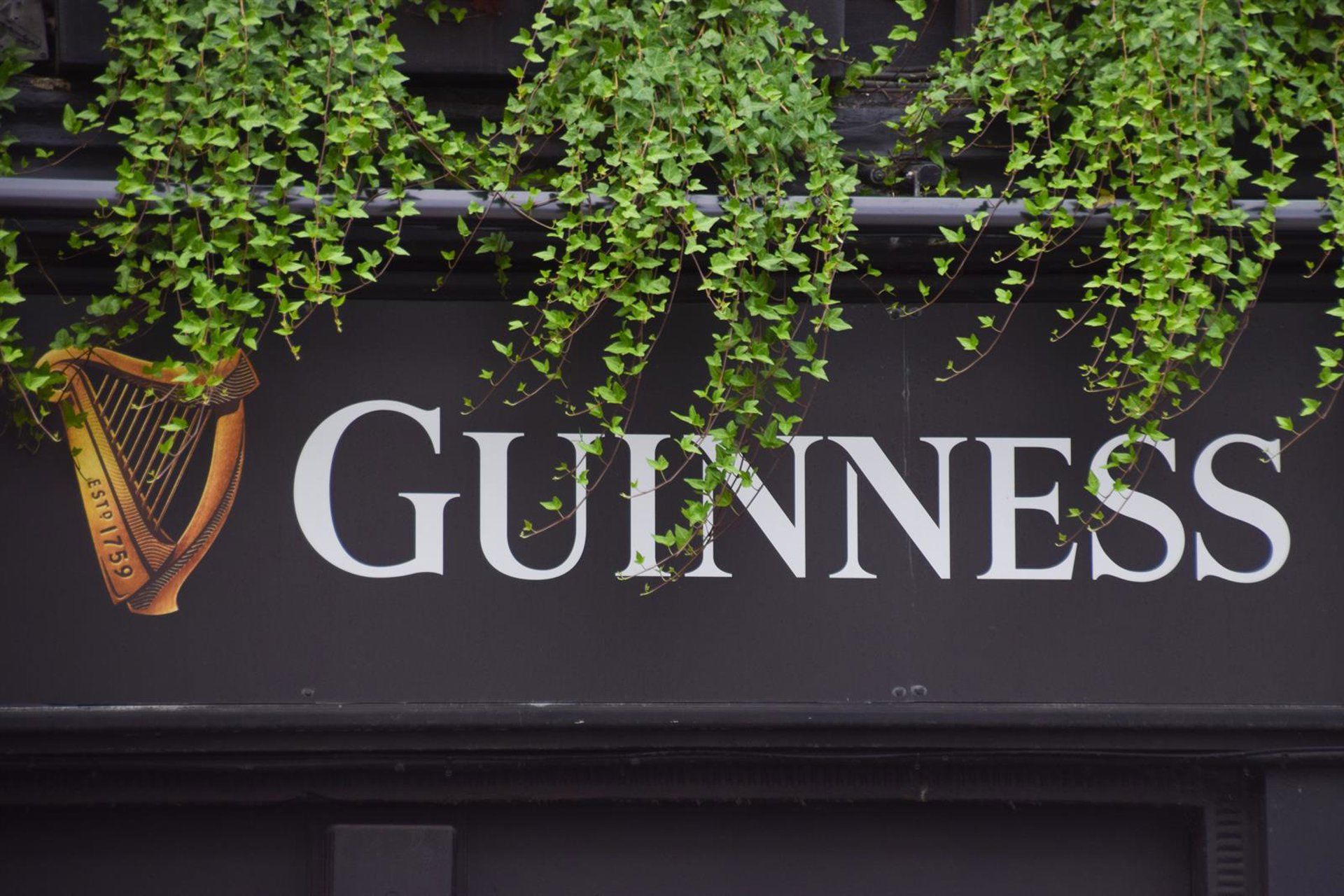 Diageo troca CFO e aposta em Joanne Wilson para plano de economia de US$ 1 bilhão