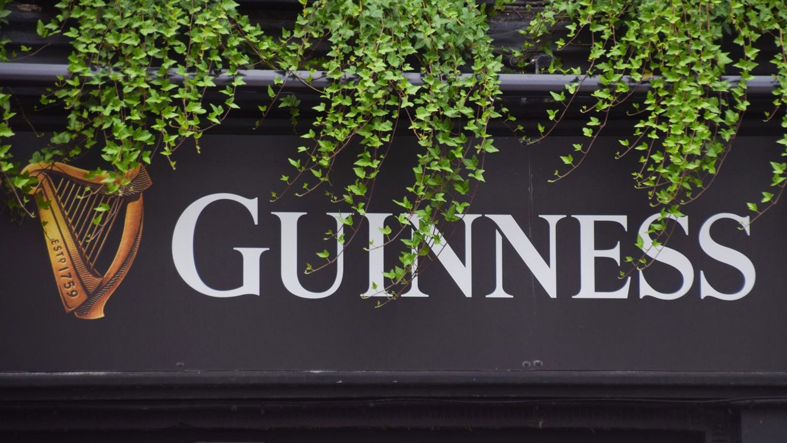 Diageo troca CFO e aposta em Joanne Wilson para plano de economia de US$ 1 bilhão