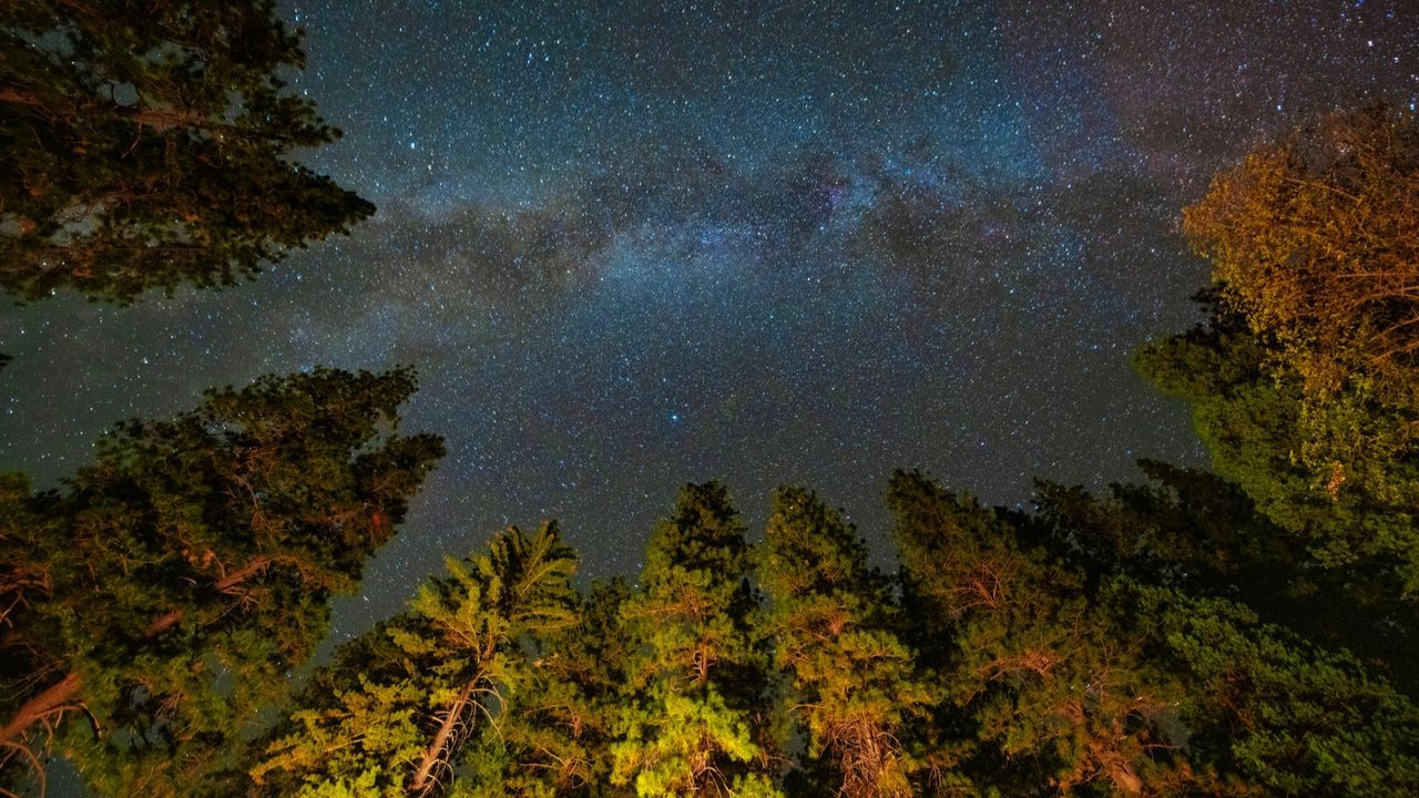 Poluição luminosa custa até US$ 66 milhões a parques nacionais nos EUA
