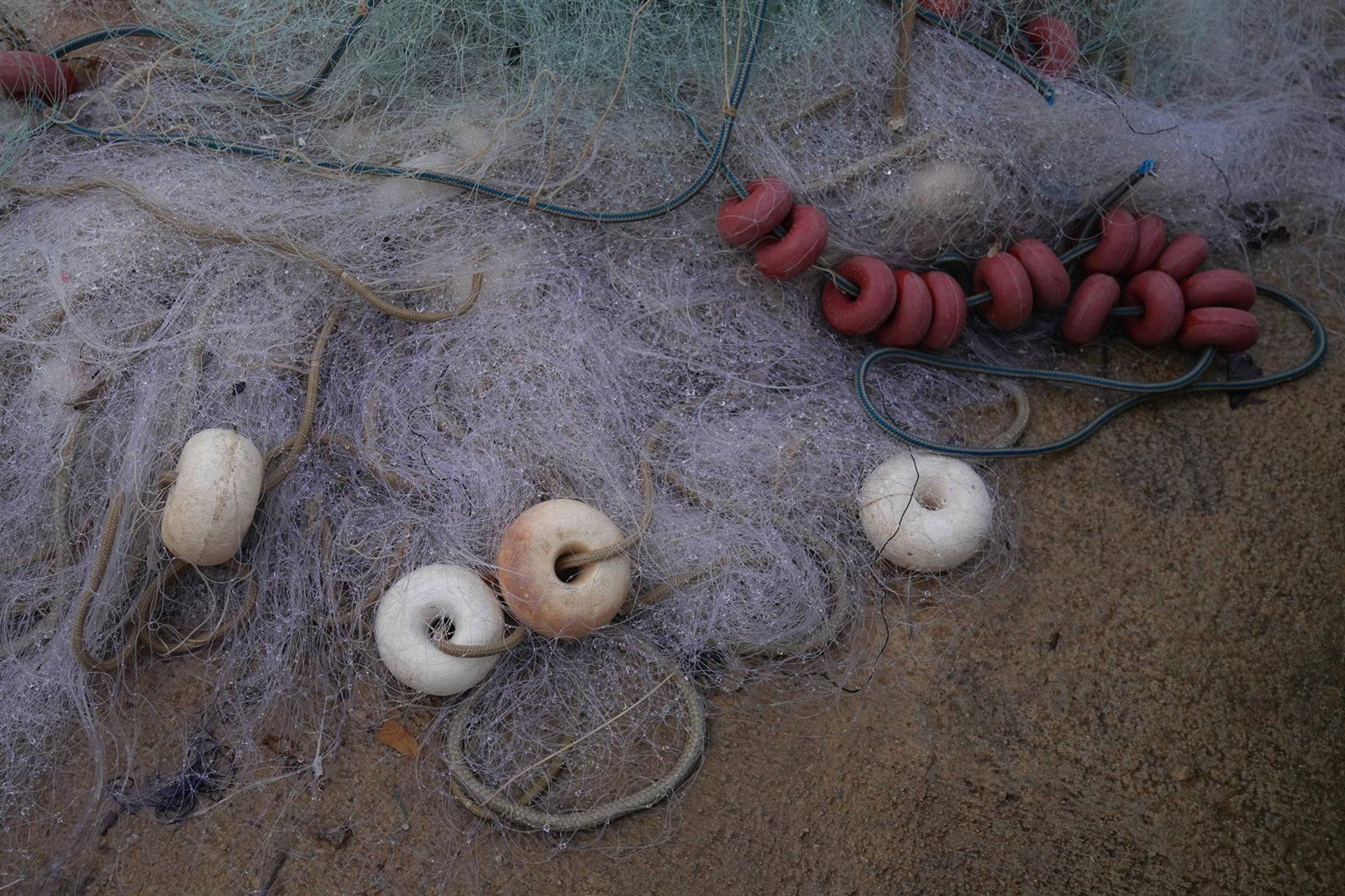 Espanha garante registro distinto para pesca de palangre pedra-bola na Europa
