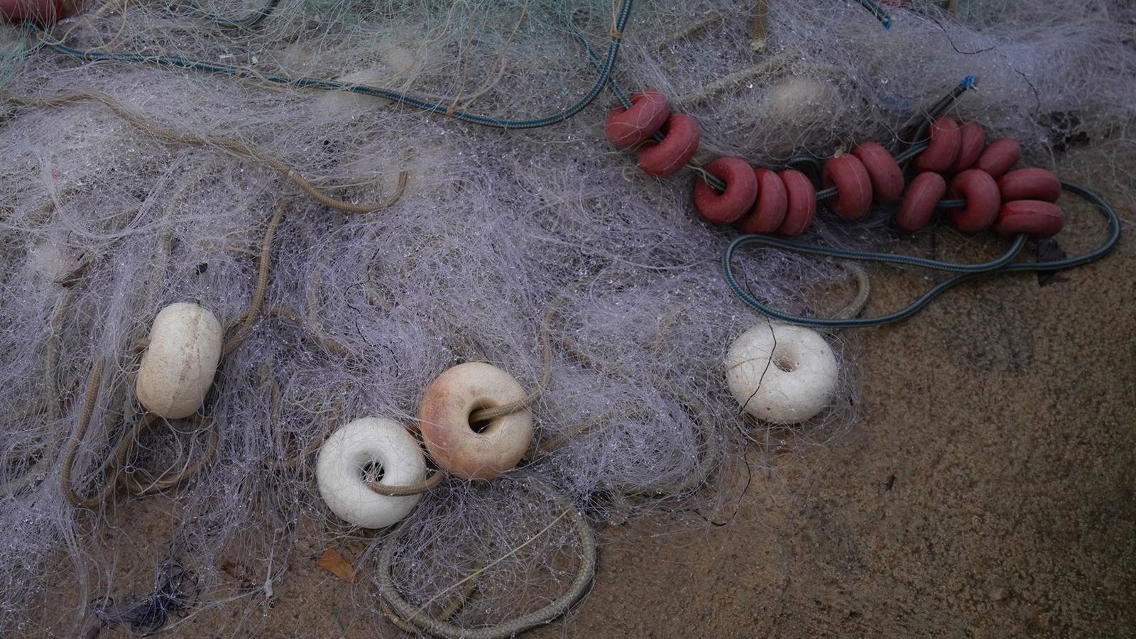 Espanha garante registro distinto para pesca de palangre pedra-bola na Europa
