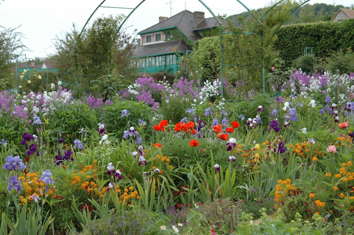 O verão que queimou o jardim de Monet