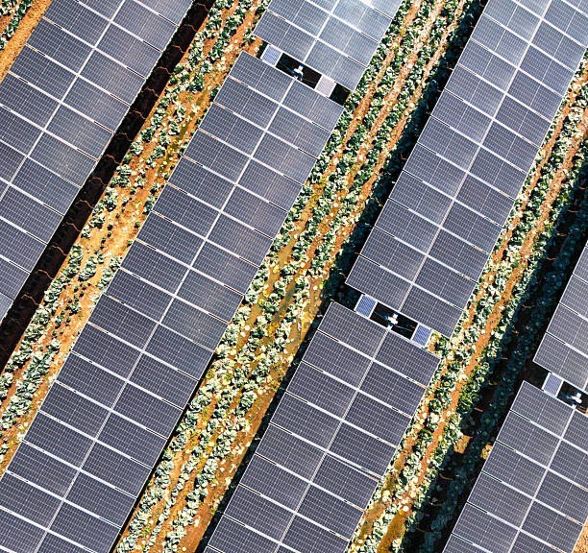 Dos Grados compra 500 MW em projetos solares na Espanha