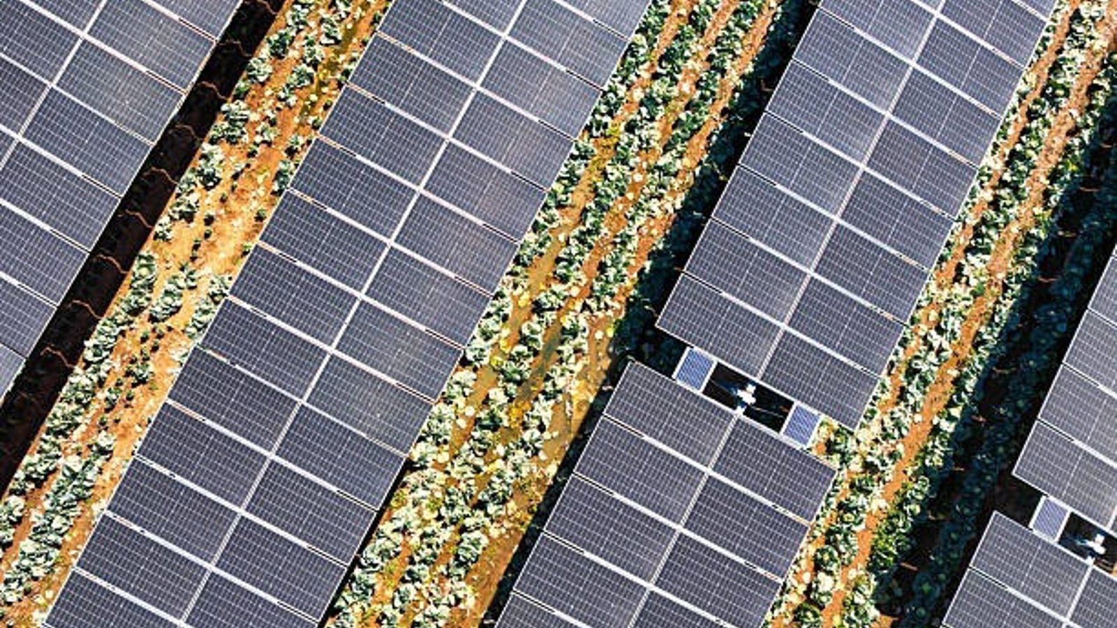 Dos Grados compra 500 MW em projetos solares na Espanha