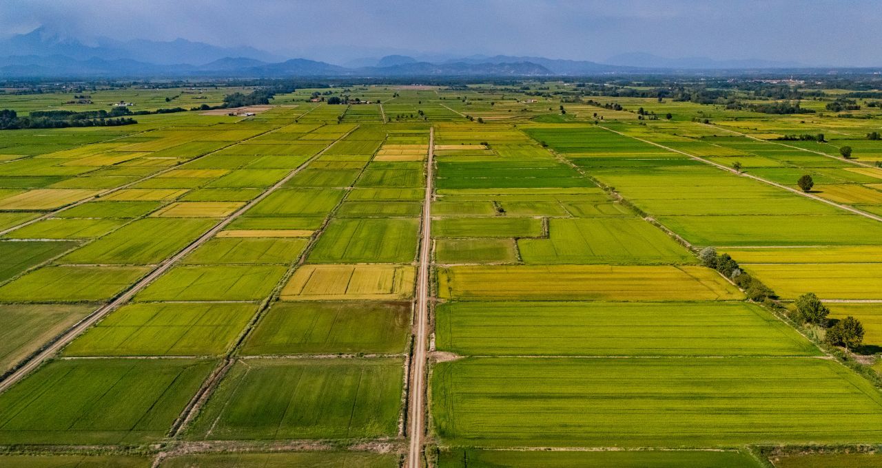 14 mil produtores pedem crédito e mercado para acelerar agricultura regenerativa
