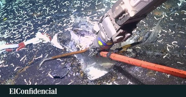A crosta oceânica é perfurada. E a vida estava lá embaixo