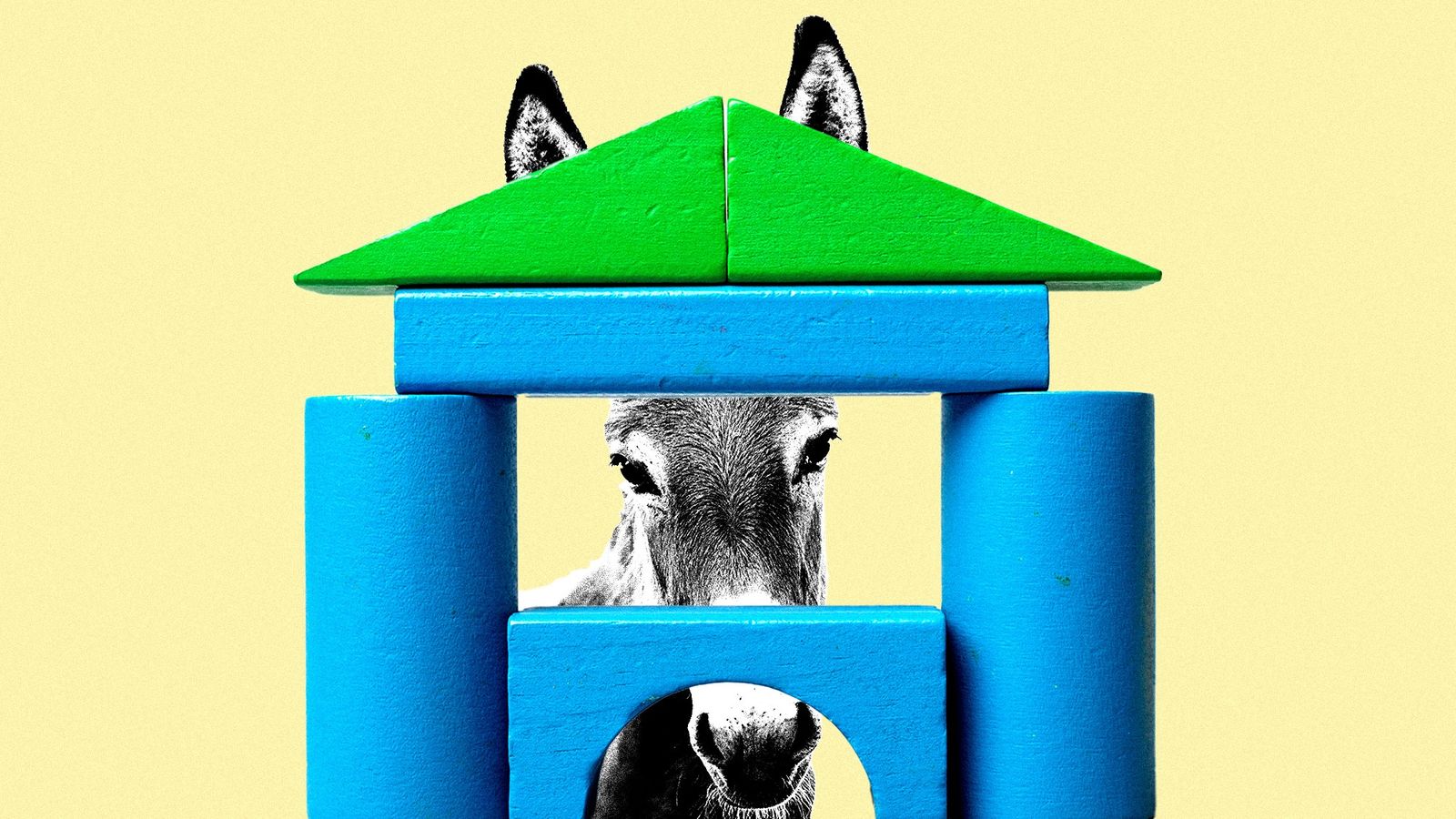 Creche universal: a aposta democrata que ignora eleitores