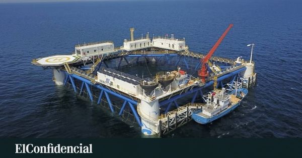 China testa o bambu no mar: a engenharia verde desafia o aço