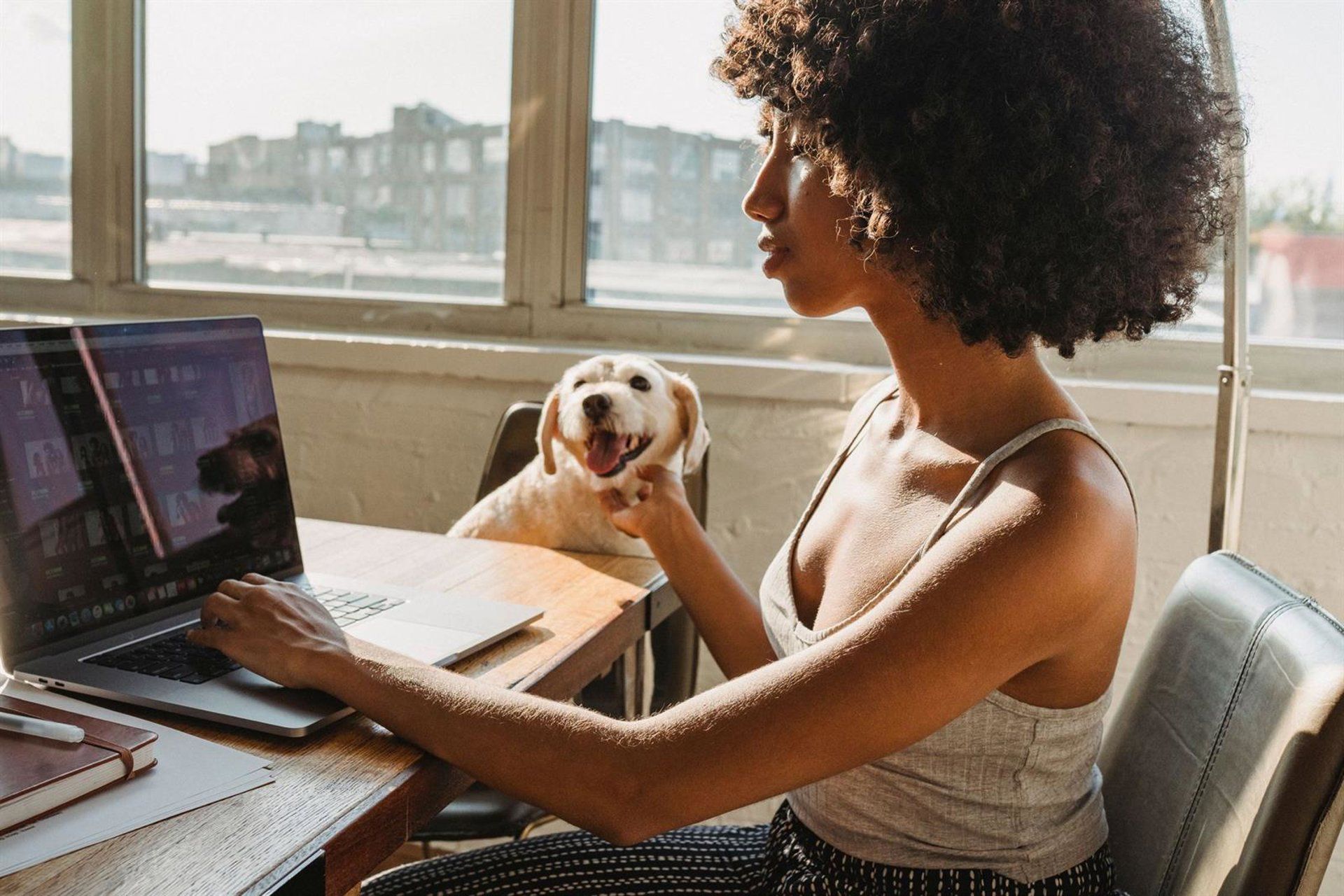 Barcelona, 6ª em ranking global para nômades digitais com pets