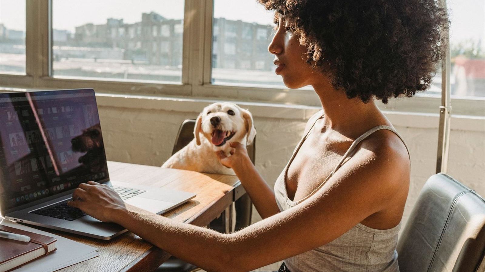 Barcelona, 6ª em ranking global para nômades digitais com pets